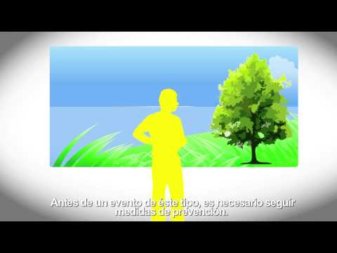 See video