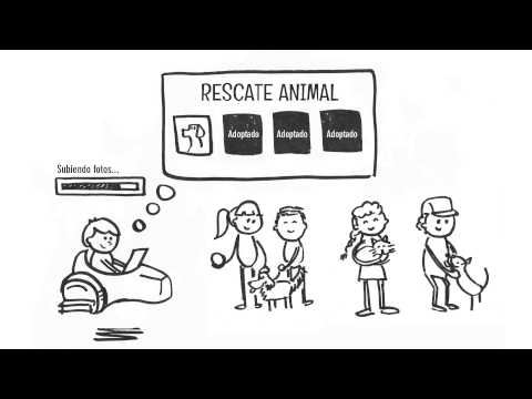 See video