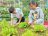 Centro educativo destaca por sus prácticas innovadoras 