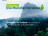 Día Mundial Forestal