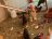 Gallinero 