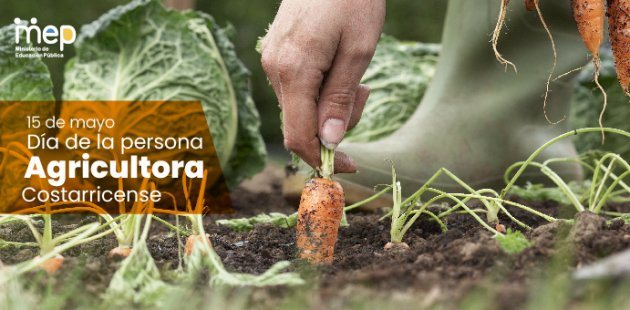 Se ilustra una persona cosechando una zanahoria en campos de cultivo.