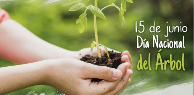 15 de junio, Día Nacional del Árbol