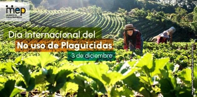Día Internacional del No uso de Plaguicidas. 3 de diciembre.