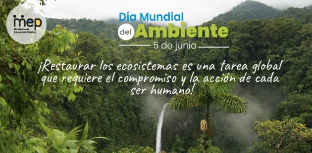 Se ilustra una catarata inmersa en un ecosistema boscoso