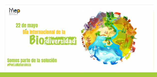 Se ilustra un planeta donde representa la biodiversidad terrestre y marítima