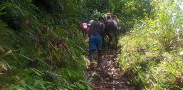 Estudiantes caminan horas para participar