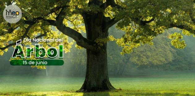 Afiche que muestra un árbol frondoso y de tronco grueso sobre un césped verde.