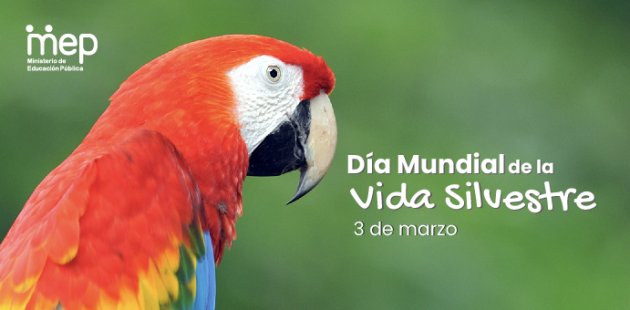 3 de marzo, Día Mundial de la Vida Silvestre.