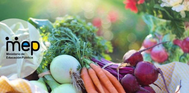 Se observan diferentes vegetales y verduras.