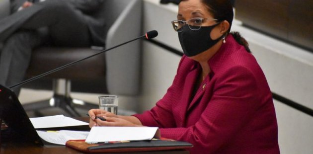 Ministra se presenta ante los diputados 