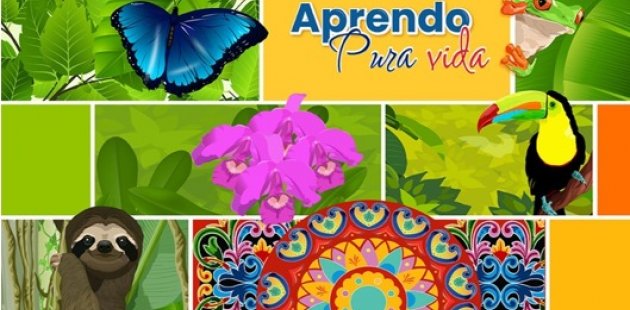 Recuperación pedagógica