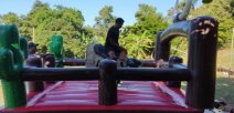 Festejan triunfos con fiesta de la alegría 
