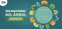 15 de junio, Día Nacional del Árbol