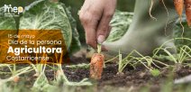 Se ilustra una persona cosechando una zanahoria en campos de cultivo.