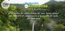 Se ilustra una catarata inmersa en un ecosistema boscoso