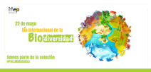 Se ilustra un planeta donde representa la biodiversidad terrestre y marítima