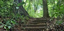 Liceo Rural Juanilama cuenta con una reserva ecológica estudiantil