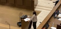 Ministra en el Plenario Legislativo