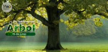 Afiche que muestra un árbol frondoso y de tronco grueso sobre un césped verde.
