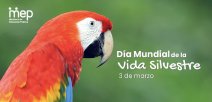 3 de marzo, Día Mundial de la Vida Silvestre.