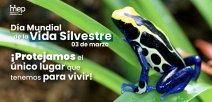Una rana posa sobre una hoja verde un helecho en un hábitat natural.
