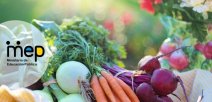 Se observan diferentes vegetales y verduras.