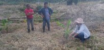 Personas trabajan el campo