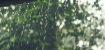 Lluvias