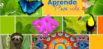 Recuperación pedagógica