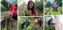 Estudiantes de zonas rurales con sus huertas