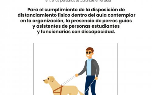 Un joven no vidente con un bastón y un perro