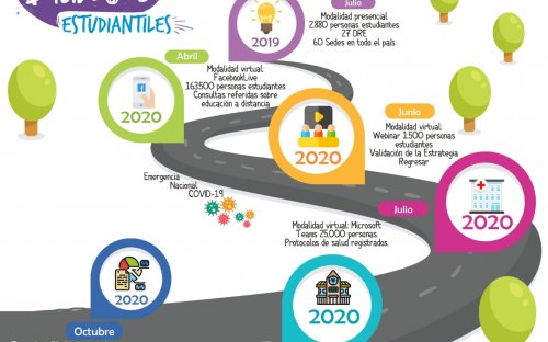 Actividades realizadas en el 2019 y 2020